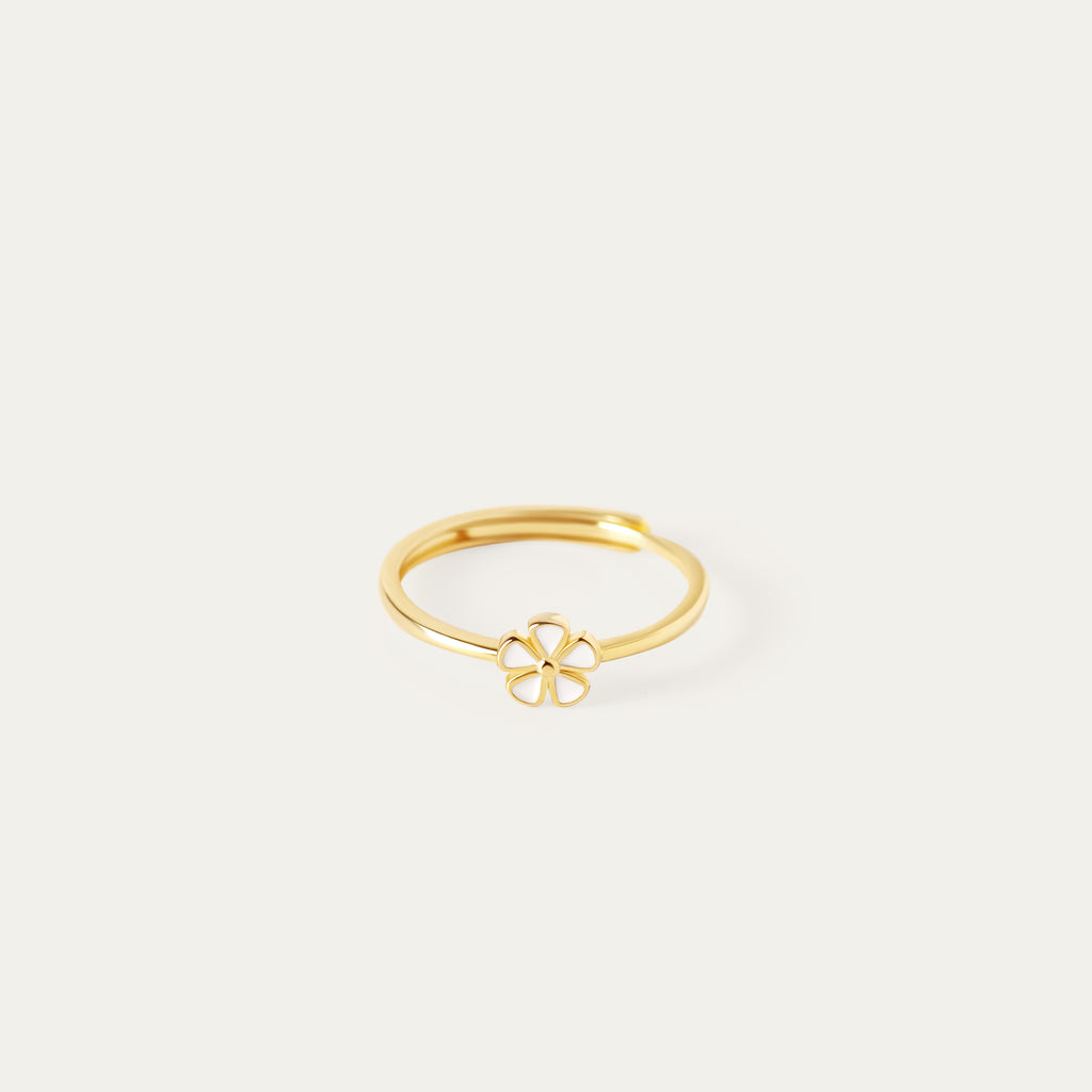 Daza Enamel Ring (18K Gold Vermeil)
