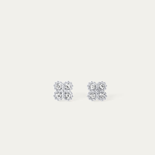 Calo CZ Earrings (Stainless Steel)