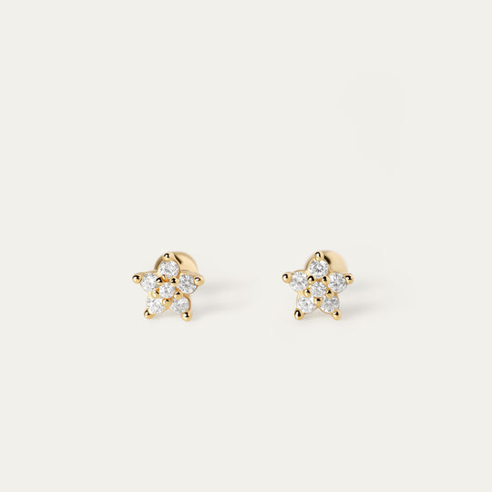 Dela CZ Studs (18K Gold Vermeil)