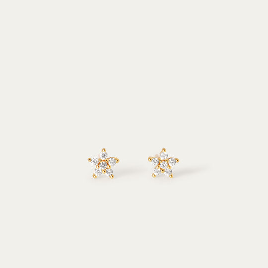 Flo CZ Studs (14K Gold Vermeil)