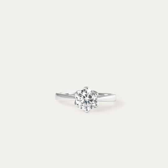 Issi 1.0ct Moissanite Ring (925 Sterling Silver, Size 5)