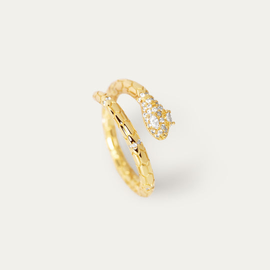 Shuli CZ Ring (18K Gold Brass)
