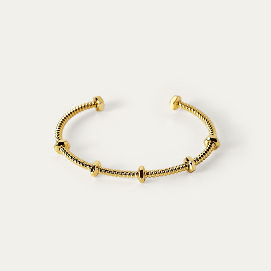 Sora Biggie Bangle (18K Gold Brass)
