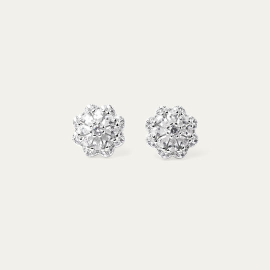 Taz CZ Studs (925 Sterling Silver)
